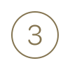 icons8-circled-3-100